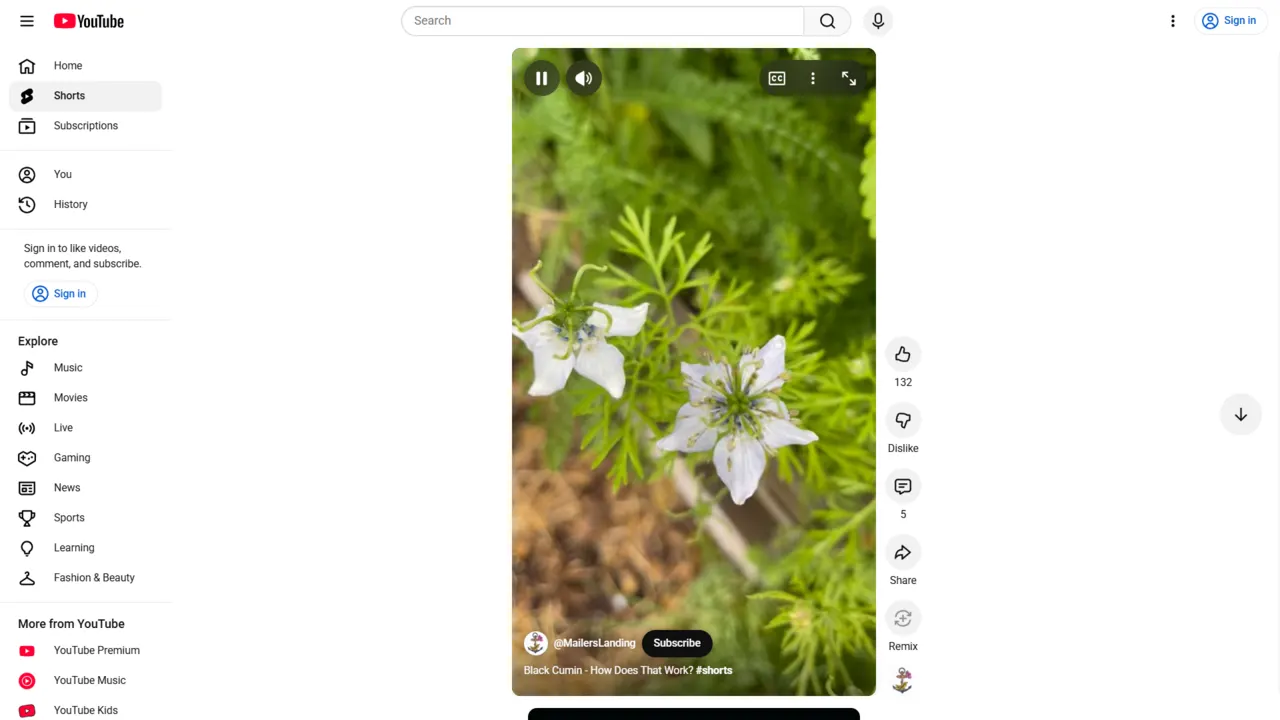 8. Monetization Tools